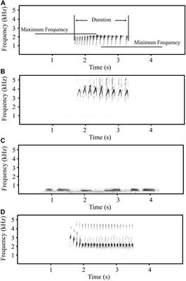 Testing the Interspecific Function of Female Common Cuckoo “Bubbling” Call